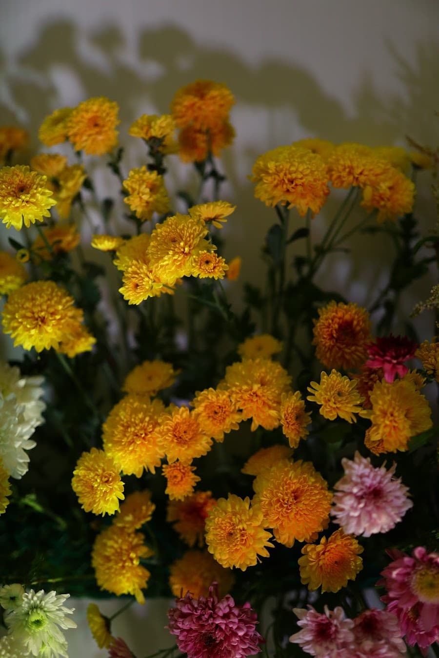 FLORAL Décor